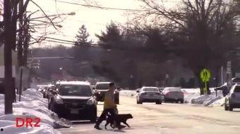 国产合资车上路视频