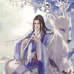 国产动漫古风炼丹视频,古风动漫中的炼丹奇遇记