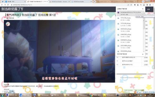 国产ubb精品视频每日nhr,NHR精彩内容不容错过